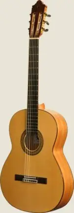 Elektroakustiline flamenkokitarr Camps CE-500-S