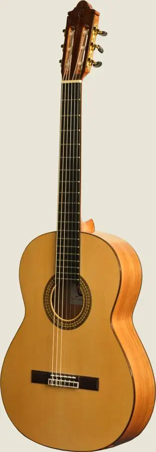 Elektroakustiline flamenkokitarr Camps CE-500-S