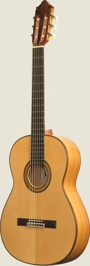 Elektroakustiline flamenkokitarr Camps FL-11-S TUNE