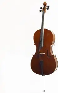 Stentor 4/4 Conservatoire Cello 1586 - Image 2