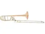 Tromboon